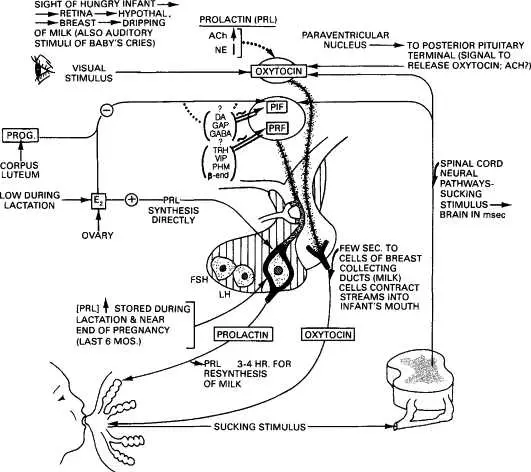 1969 john deere 4020 head light wiring diagram 1969 john deere 4020 head light wiring diagram