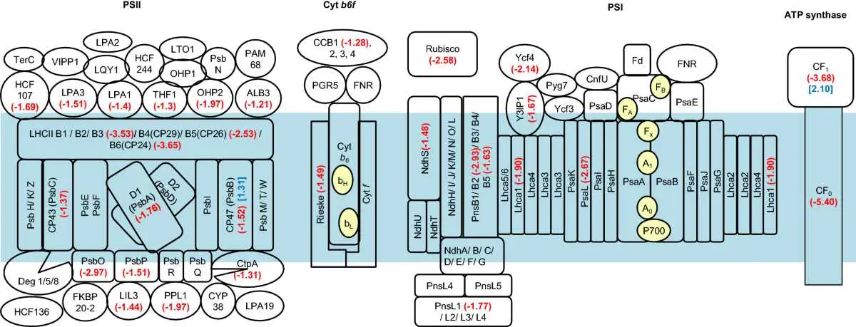 john deere 4960 fuse panel diagram